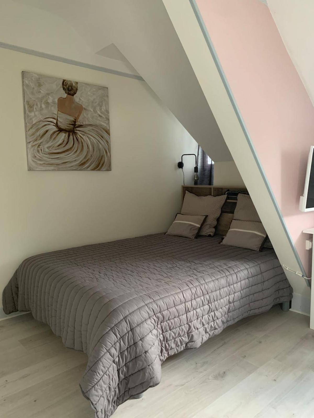 Pyrene Holidays - Heracles - Residence Paisible A 6Mn A Pied Des Thermes Баньєр-де-Бігорр Номер фото